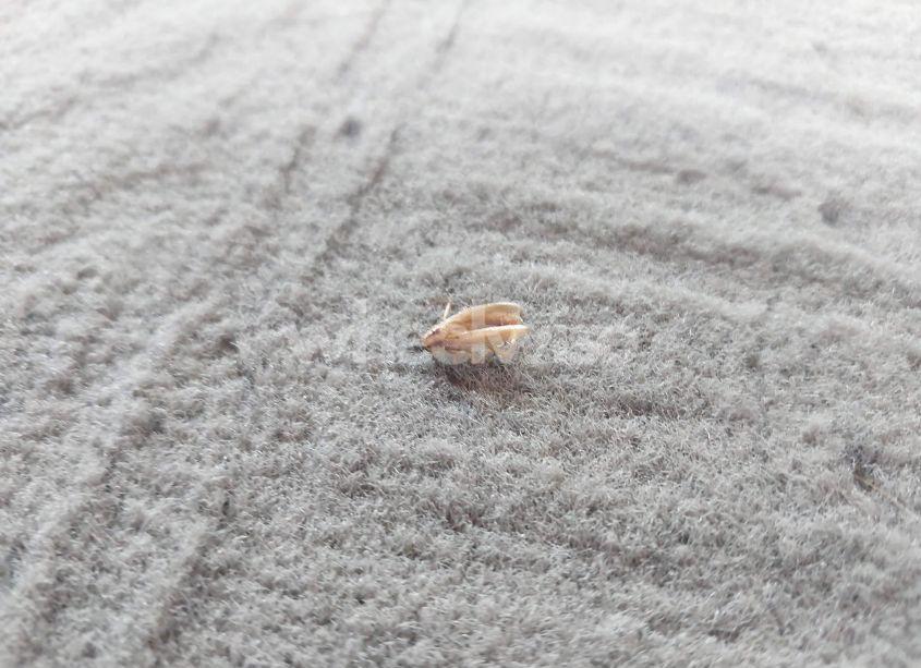 Photo 12 of 2014 Jeep Patriot LATITUDE (VIN 1C4NJPFA1ED652699)