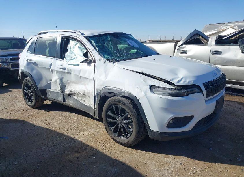 2019 Jeep Cherokee LATITUDE FWD (VIN 1C4PJLCB1KD269646) main photo