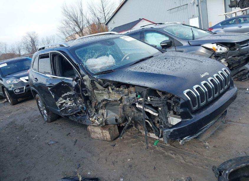 2016 Jeep Cherokee LIMITED (VIN 1C4PJLDB2GW229179) main photo