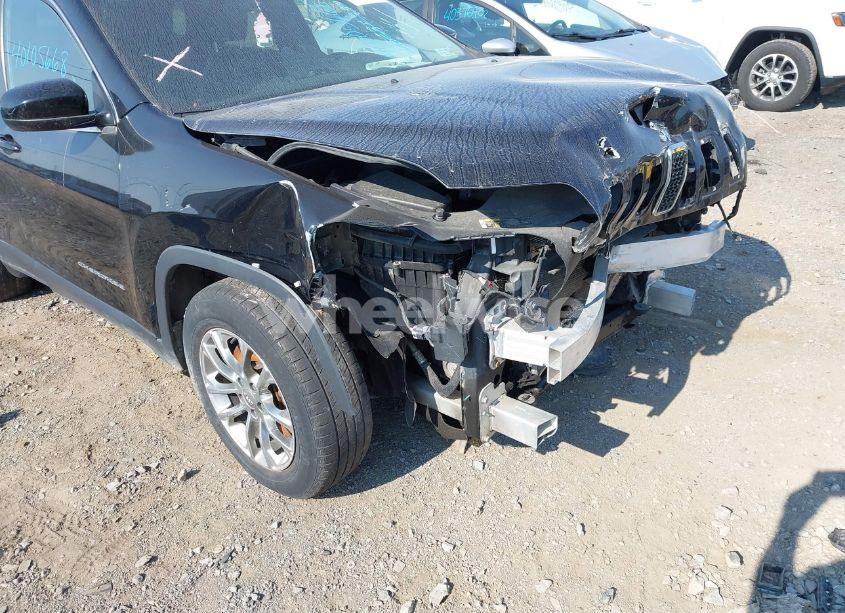 Photo 17 of 2019 Jeep Cherokee LATITUDE PLUS FWD (VIN 1C4PJLLB6KD184897)