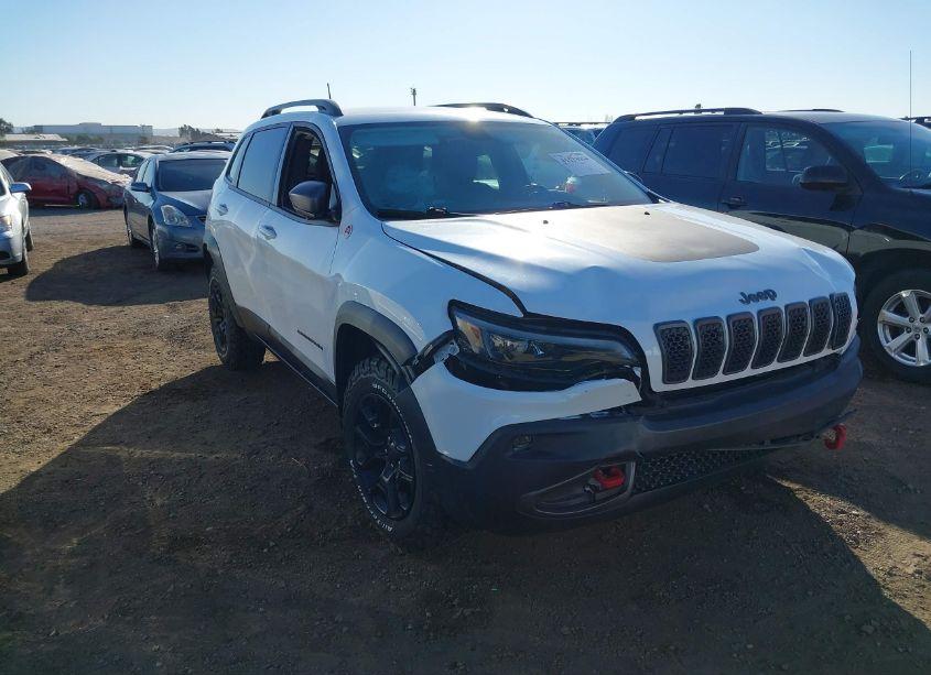 2020 Jeep Cherokee TRAILHAWK 4X4 (VIN 1C4PJMBN9LD502465) main photo