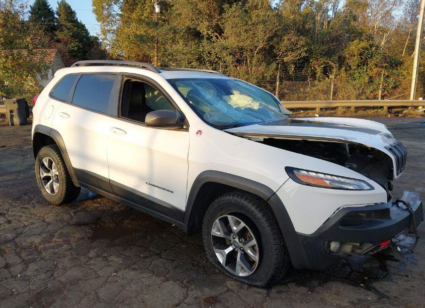 2016 Jeep Cherokee TRAILHAWK (VIN 1C4PJMBS6GW284453) main photo