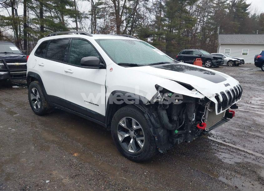 2016 Jeep Cherokee TRAILHAWK (VIN 1C4PJMBSXGW335355) main photo