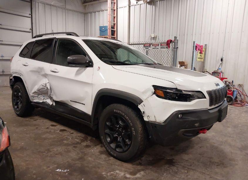 2020 Jeep Cherokee TRAILHAWK ELITE 4X4 (VIN 1C4PJMBX4LD597339) main photo