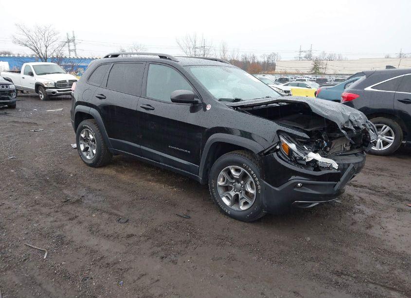 2019 Jeep Cherokee TRAILHAWK 4X4 (VIN 1C4PJMBX8KD440816) main photo