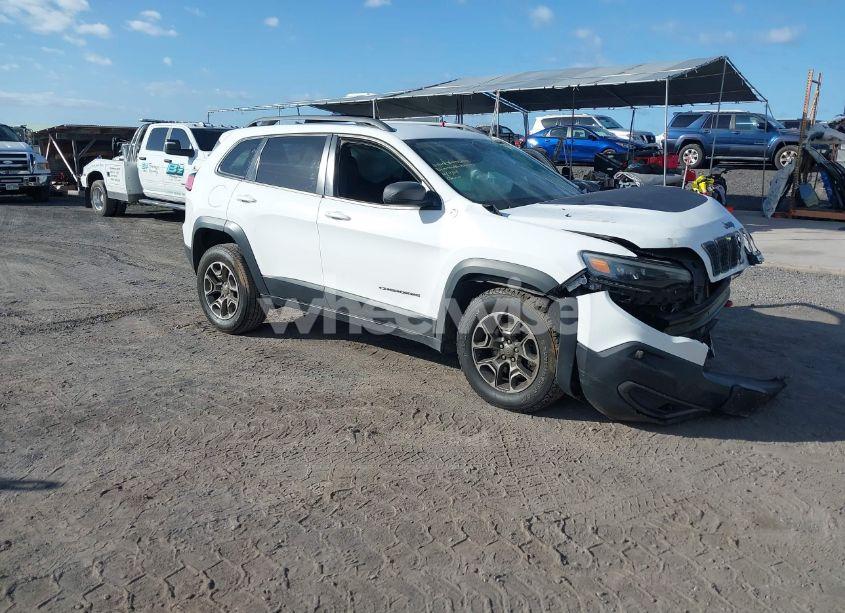 2020 Jeep Cherokee TRAILHAWK 4X4 (VIN 1C4PJMBX9LD529103) main photo