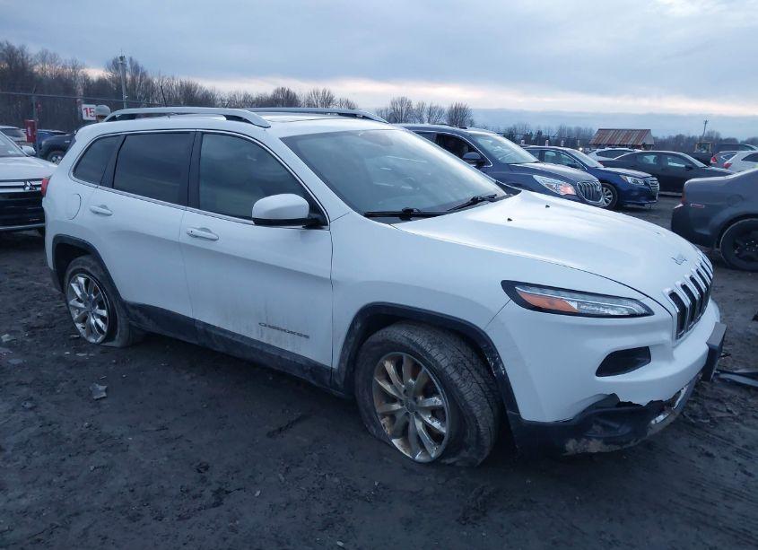 2017 Jeep Cherokee LIMITED 4X4 (VIN 1C4PJMDB9HW525579) main photo