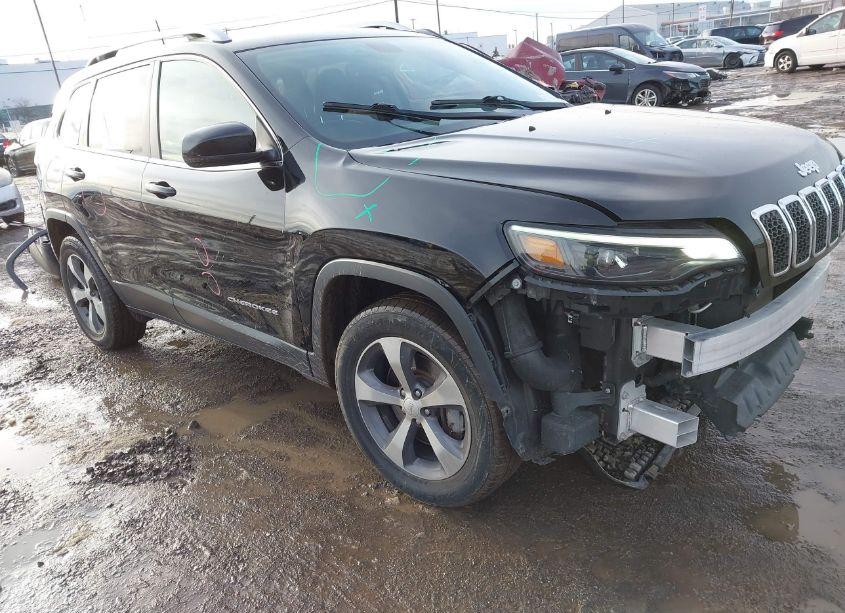 2019 Jeep Cherokee LIMITED 4X4 (VIN 1C4PJMDN1KD490100) main photo