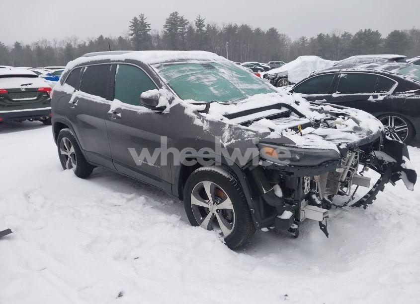 2019 Jeep Cherokee LIMITED 4X4 (VIN 1C4PJMDN8KD399423) main photo