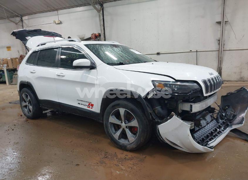 2019 Jeep Cherokee LIMITED 4X4 (VIN 1C4PJMDN9KD169616) main photo
