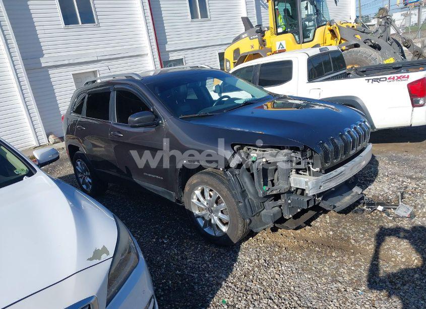 2014 Jeep Cherokee LIMITED (VIN 1C4PJMDS9EW290919) main photo