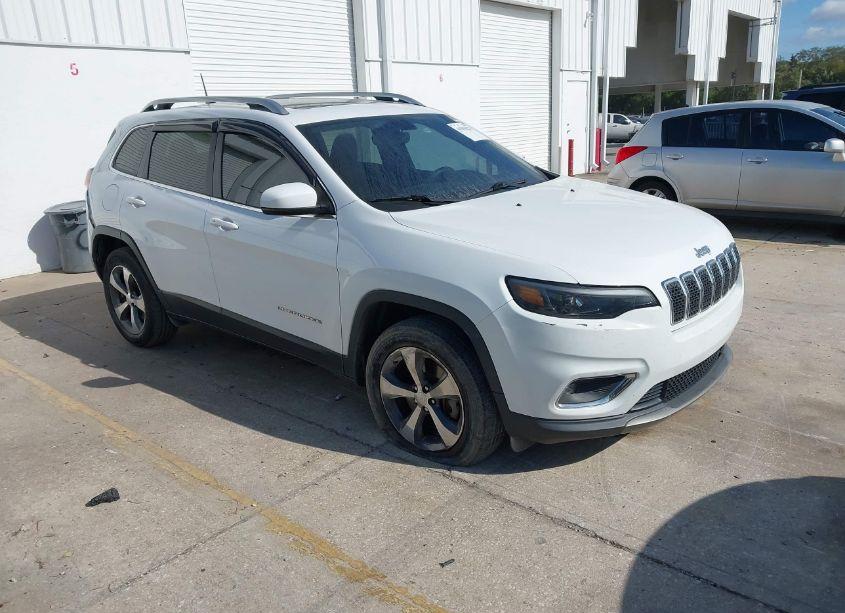 2019 Jeep Cherokee LIMITED 4X4 (VIN 1C4PJMDX1KD156795) main photo
