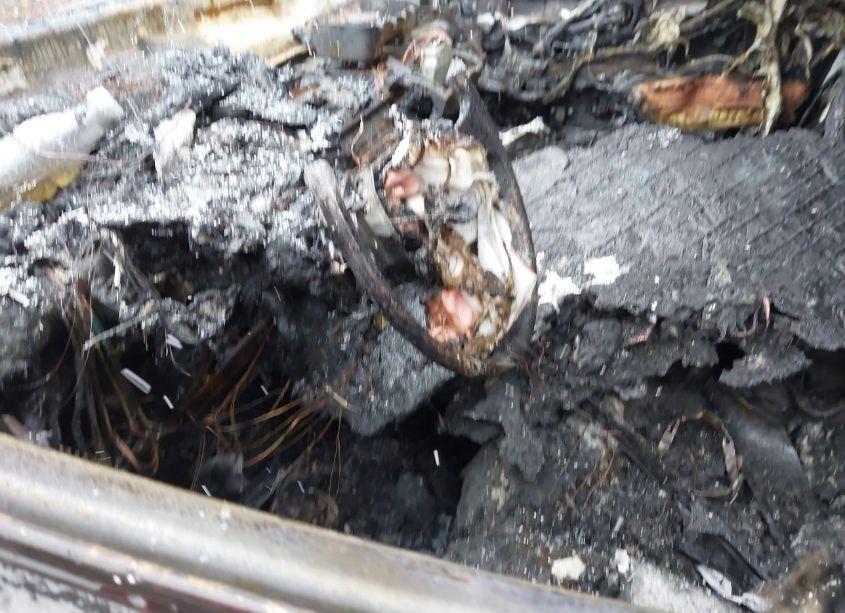 Photo 11 of 2021 Jeep Cherokee ALTITUDE 4X4 (VIN 1C4PJMLB0MD233553)