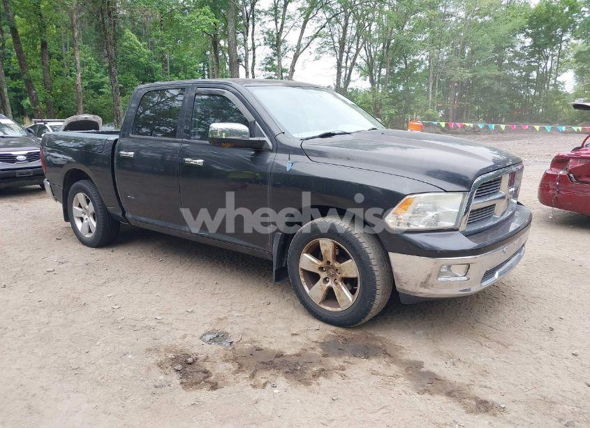 2009 Dodge Ram 1500 SLT/SPORT/TRX (VIN 1D3HB13T69J522316) main photo