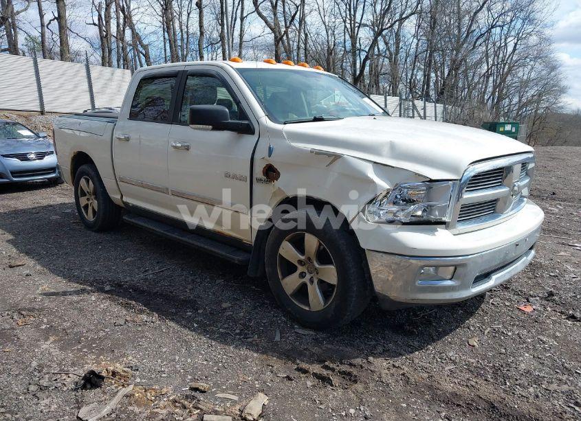 2009 Dodge Ram 1500 SLT/SPORT/TRX (VIN 1D3HV13T19J517175) main photo