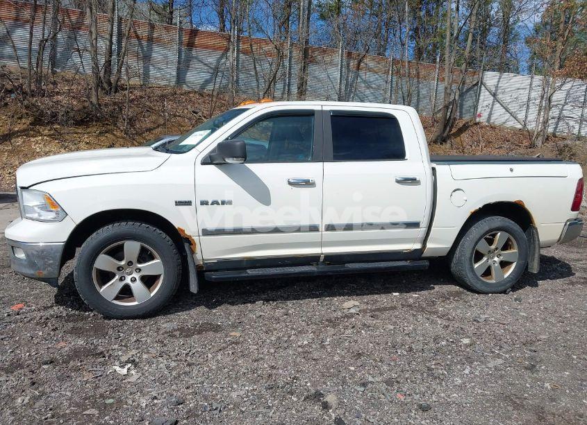 Photo 14 of 2009 Dodge Ram 1500 SLT/SPORT/TRX (VIN 1D3HV13T19J517175)