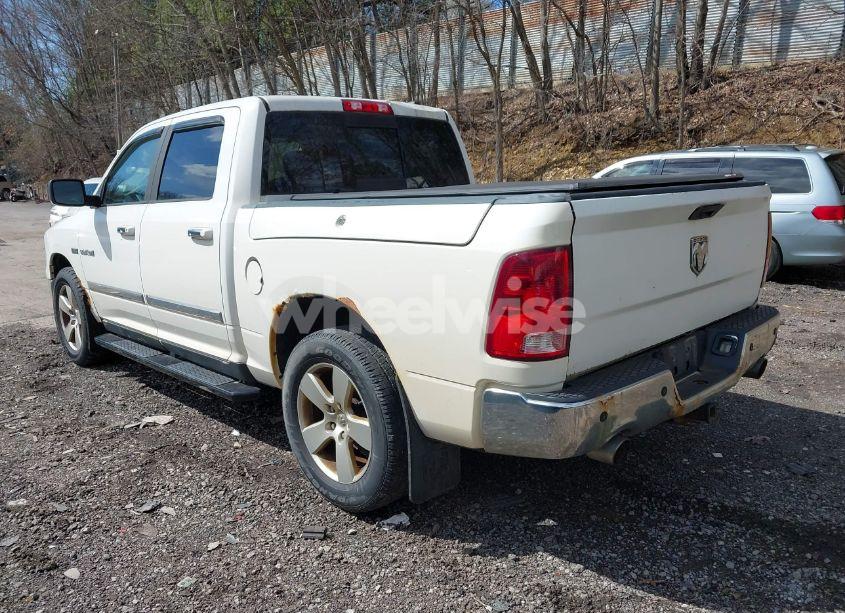 Photo 3 of 2009 Dodge Ram 1500 SLT/SPORT/TRX (VIN 1D3HV13T19J517175)