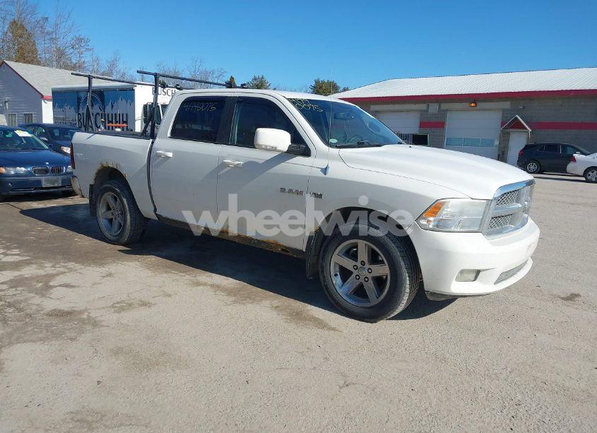 2009 Dodge Ram 1500 SLT/SPORT/TRX (VIN 1D3HV13T19S739001) main photo