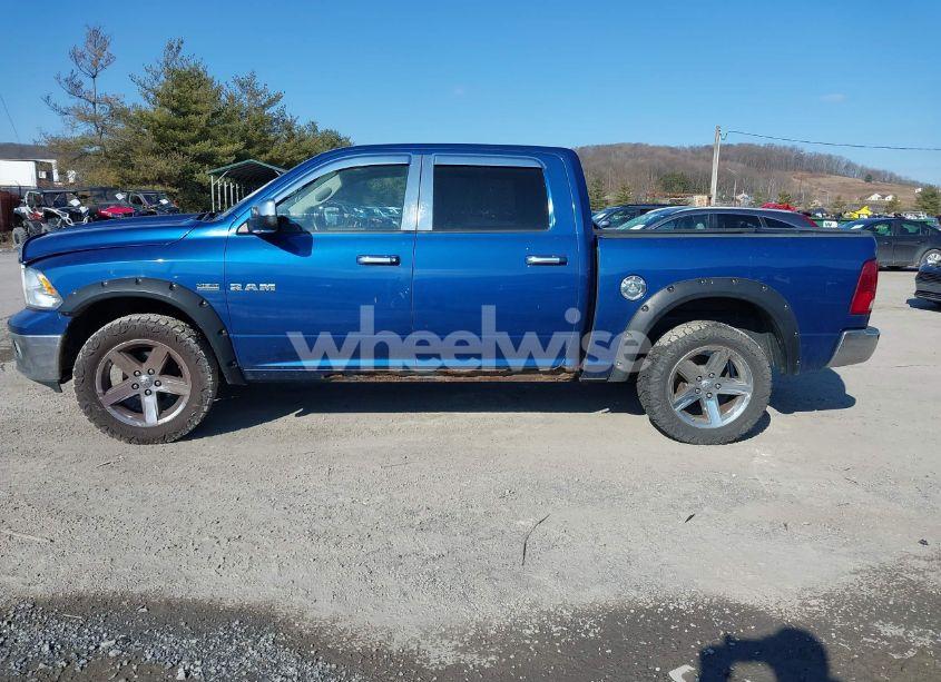 Photo 14 of 2009 Dodge Ram 1500 SLT/SPORT/TRX (VIN 1D3HV13T89S793671)