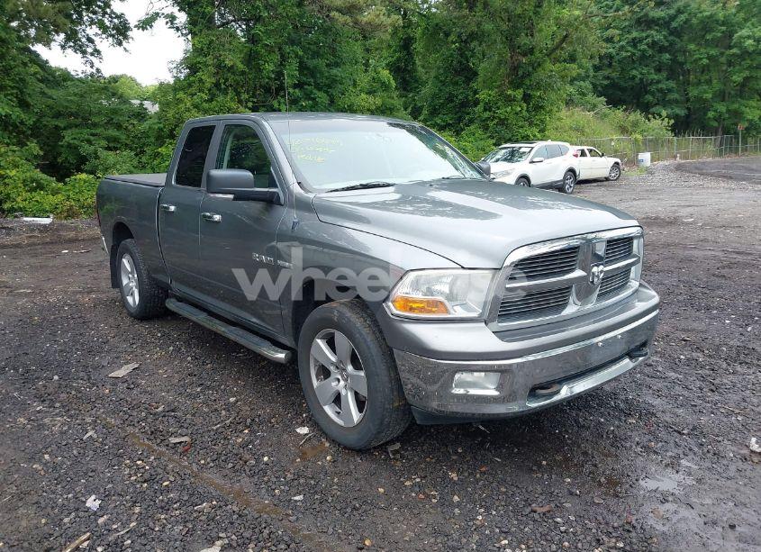 2009 Dodge Ram 1500 SLT/SPORT/TRX (VIN 1D3HV18T69S800254) main photo