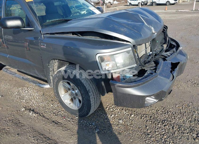 Photo 13 of 2009 Dodge Dakota BIGHORN/LONESTAR (VIN 1D3HW32P59S770734)