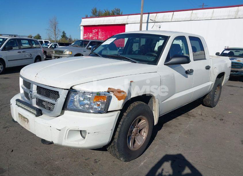 Photo 2 of 2009 Dodge Dakota BIGHORN/LONESTAR (VIN 1D3HW38K49S783518)