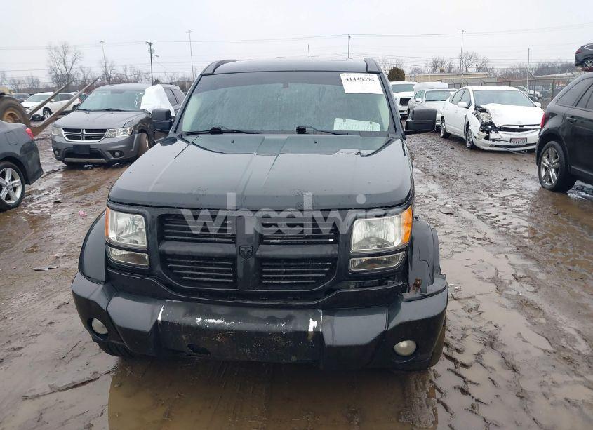 Photo 13 of 2010 Dodge Nitro SXT (VIN 1D4PU5GXXAW144627)