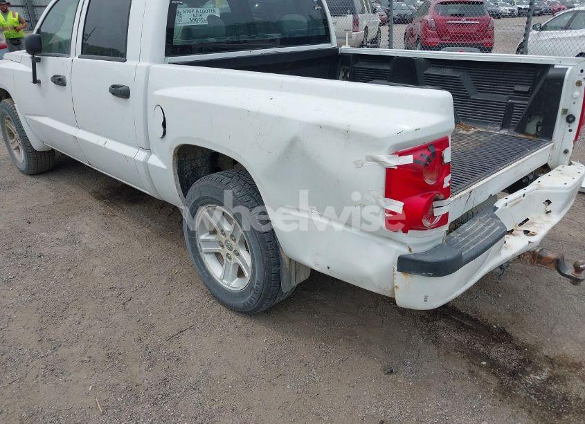 Photo 6 of 2010 Dodge Dakota BIGHORN/LONESTAR (VIN 1D7CE3GK4AS163639)