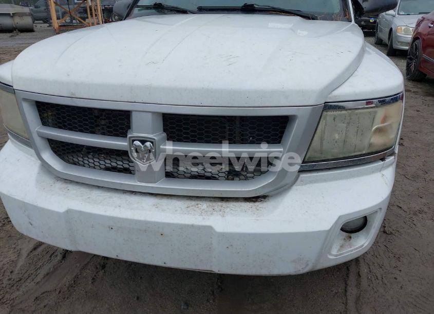 Photo 12 of 2010 Dodge Dakota BIGHORN/LONESTAR (VIN 1D7CE3GKXAS230356)