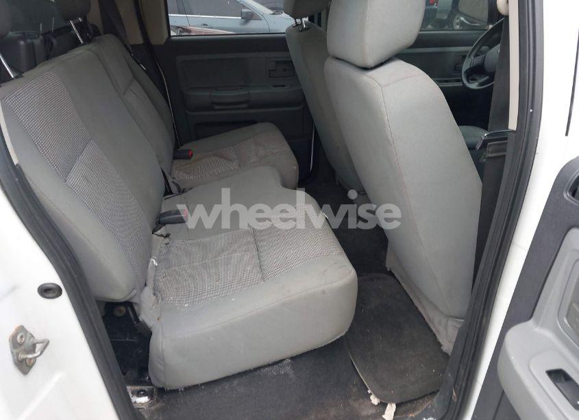 Photo 8 of 2010 Dodge Dakota BIGHORN/LONESTAR (VIN 1D7CE3GKXAS230356)