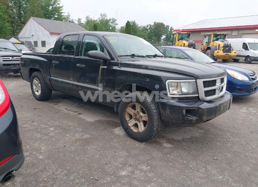2010 Dodge Dakota BIGHORN/LONESTAR (VIN 1D7CW3GK8AS202813) main photo