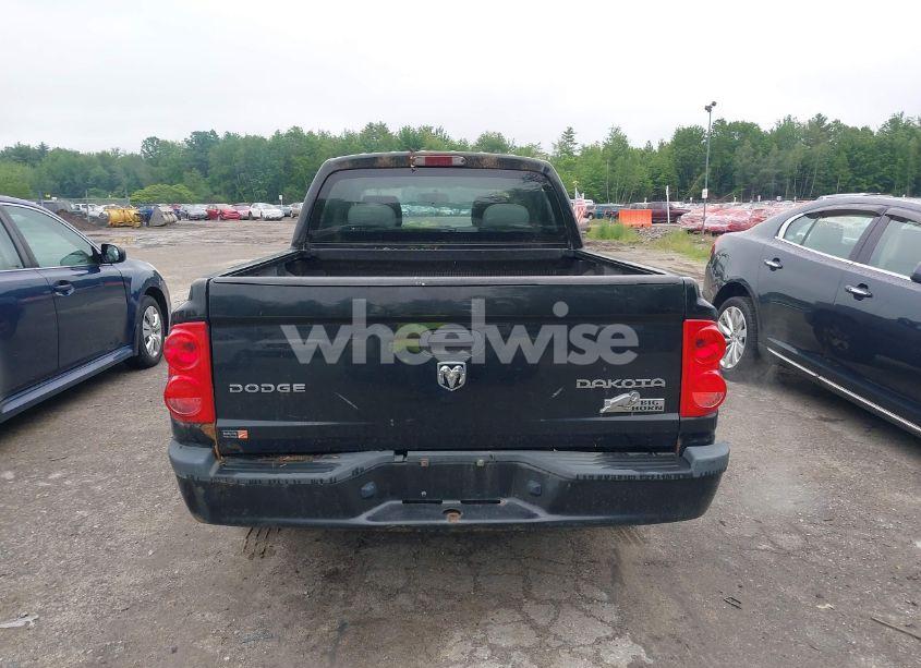 Photo 16 of 2010 Dodge Dakota BIGHORN/LONESTAR (VIN 1D7CW3GK8AS202813)