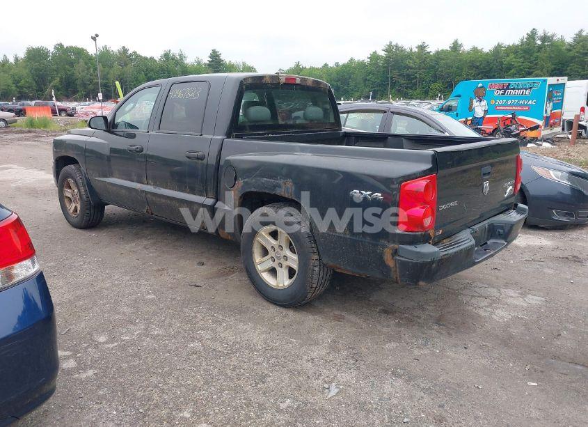 Photo 3 of 2010 Dodge Dakota BIGHORN/LONESTAR (VIN 1D7CW3GK8AS202813)
