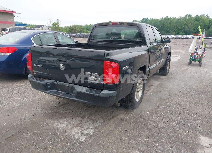 Photo 4 of 2010 Dodge Dakota BIGHORN/LONESTAR (VIN 1D7CW3GK8AS202813)