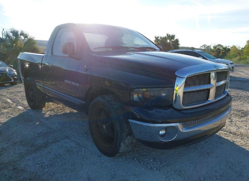 2002 Dodge Ram 1500 ST (VIN 1D7HA16N12J205922) main photo