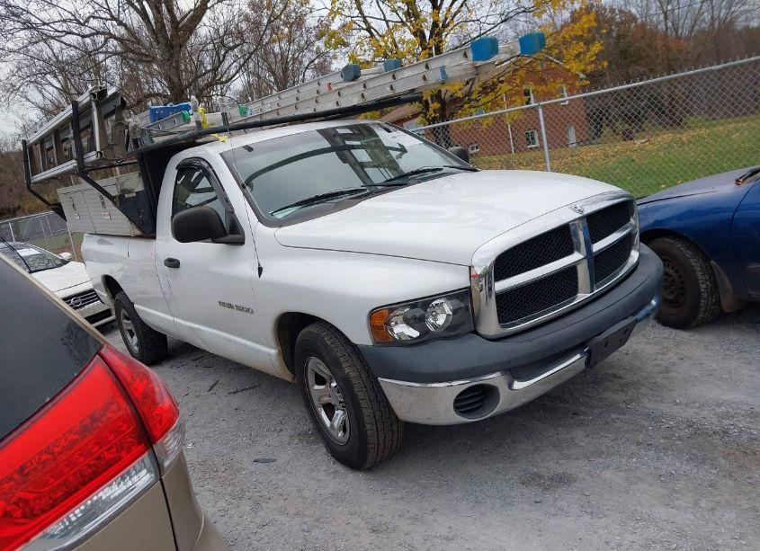 2002 Dodge Ram 1500 ST (VIN 1D7HA16N72J250251) main photo