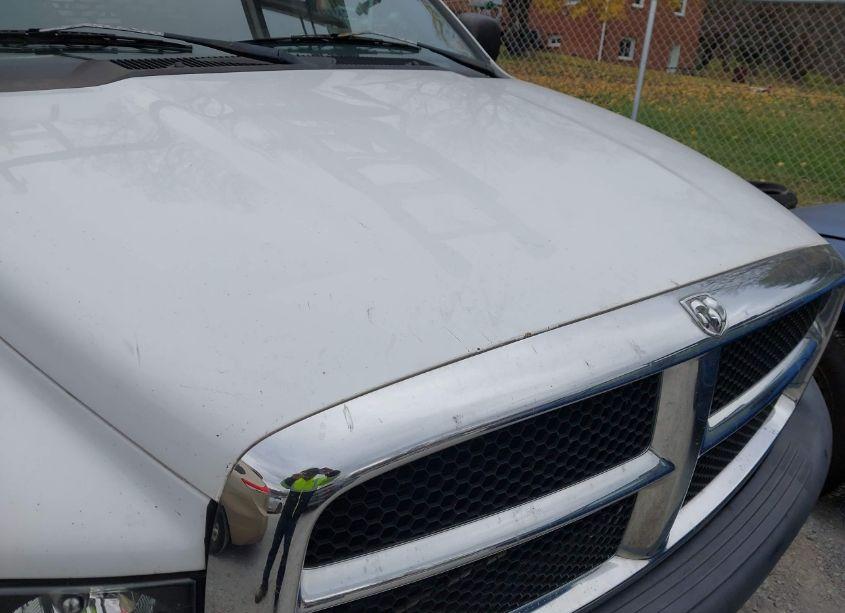 Photo 16 of 2002 Dodge Ram 1500 ST (VIN 1D7HA16N72J250251)