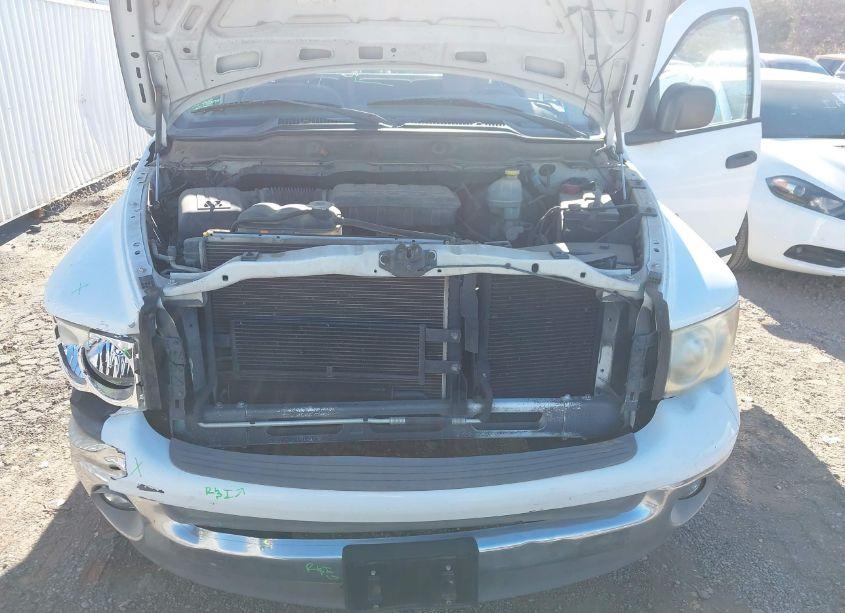 Photo 10 of 2002 Dodge Ram 1500 ST (VIN 1D7HA18N32S703739)