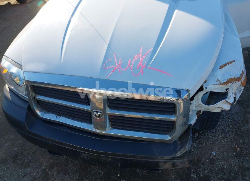 Photo 10 of 2007 Dodge Dakota ST (VIN 1D7HW22K17S202605)