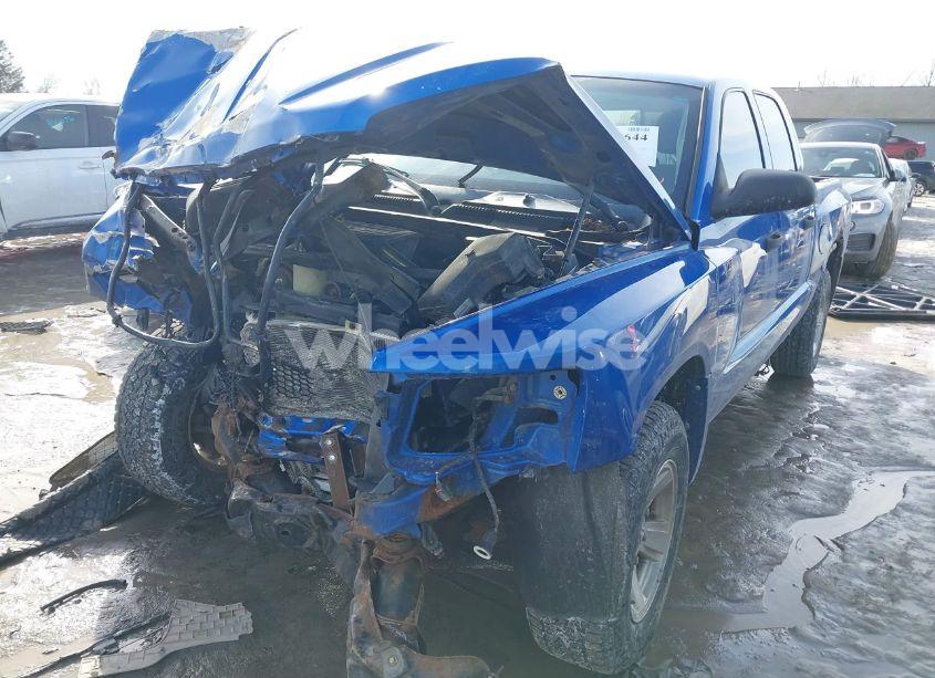 Photo 6 of 2008 Dodge Dakota SXT/BIGHORN/LONESTAR (VIN 1D7HW38K78S504060)