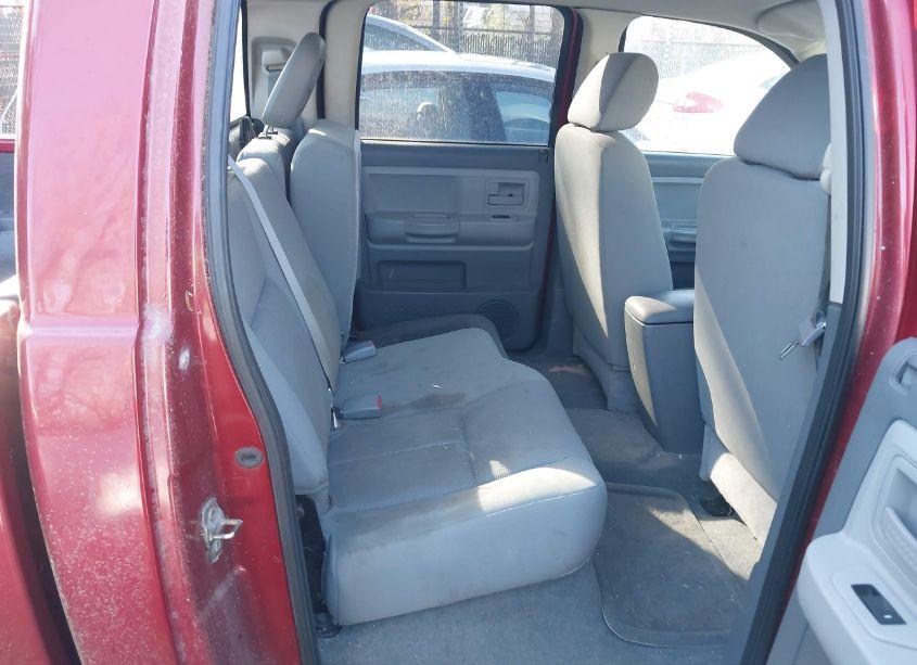 Photo 8 of 2006 Dodge Dakota SLT (VIN 1D7HW48J36S528916)
