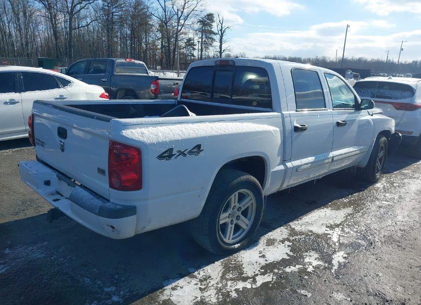 Photo 4 of 2007 Dodge Dakota SLT (VIN 1D7HW48JX7S166780)