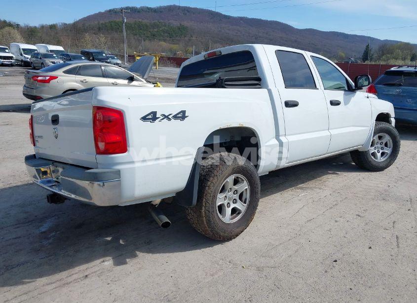 Photo 4 of 2006 Dodge Dakota SLT (VIN 1D7HW48K06S676241)