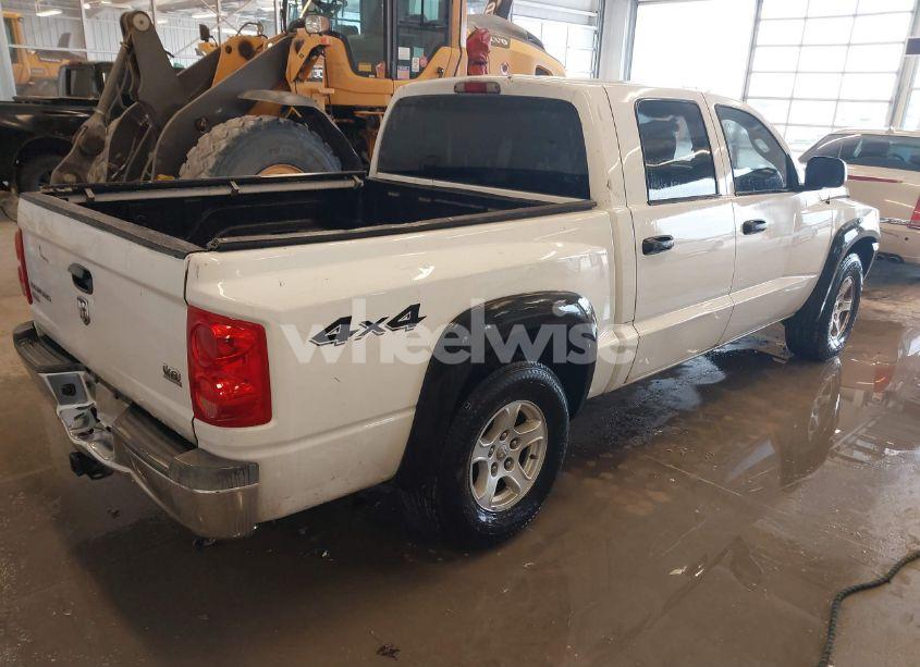 Photo 4 of 2005 Dodge Dakota SLT (VIN 1D7HW48N05S195964)