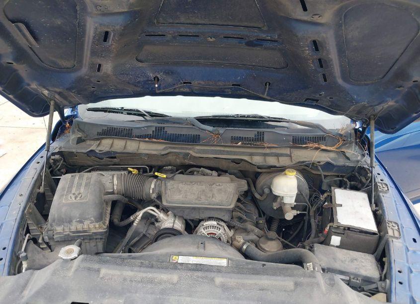 Photo 10 of 2010 Dodge Ram 1500 ST (VIN 1D7RB1CP9AS117264)