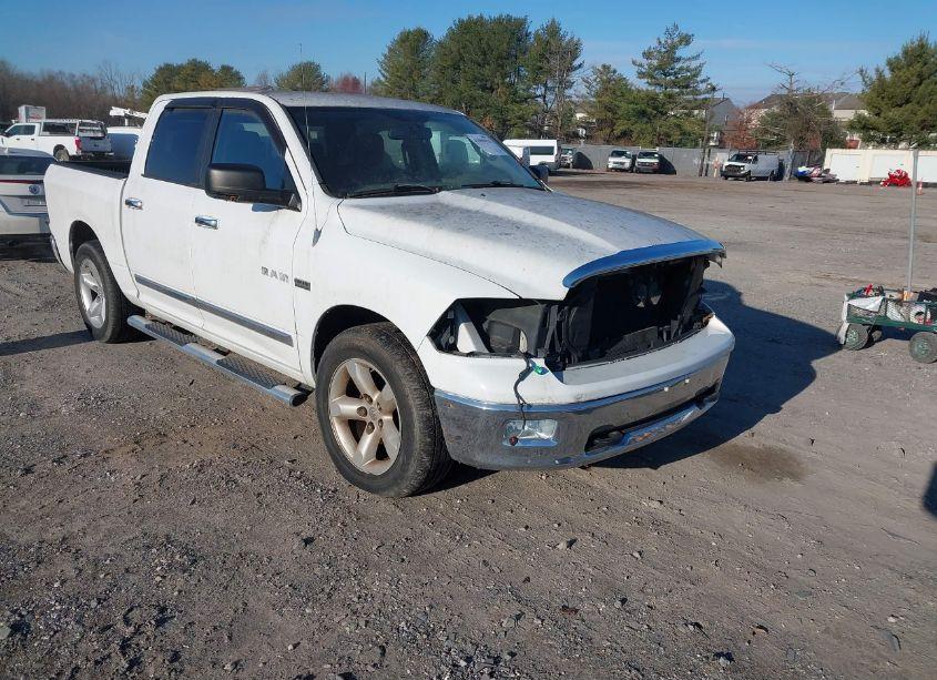 2010 Dodge Ram 1500 SLT/SPORT/TRX (VIN 1D7RB1CT4AS179782) main photo