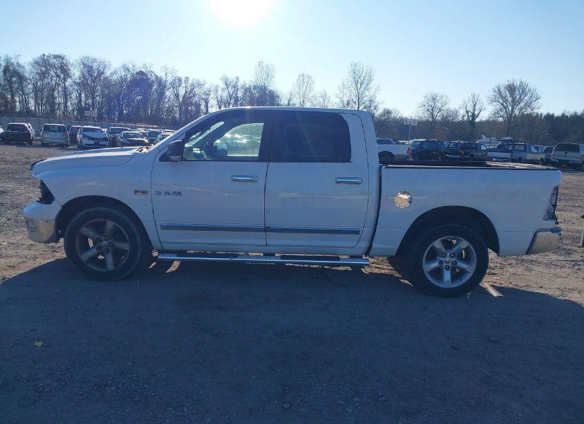 Photo 14 of 2010 Dodge Ram 1500 SLT/SPORT/TRX (VIN 1D7RB1CT4AS179782)