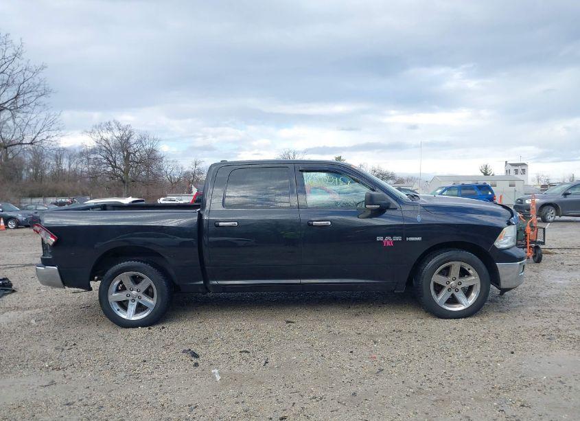Photo 13 of 2010 Dodge Ram 1500 SLT/SPORT/TRX (VIN 1D7RB1CT7AS100380)