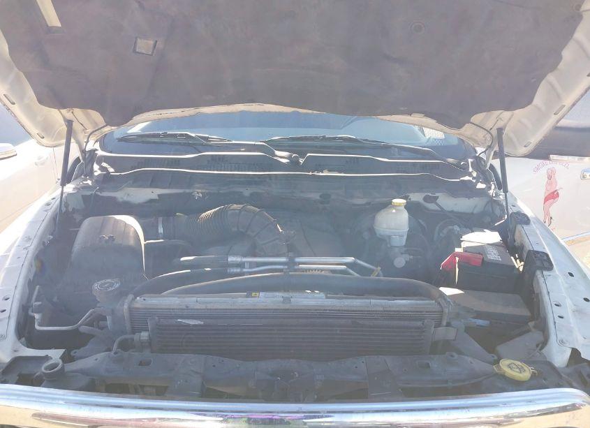 Photo 10 of 2010 Dodge Ram 1500 SLT/SPORT/TRX (VIN 1D7RB1CT7AS226271)