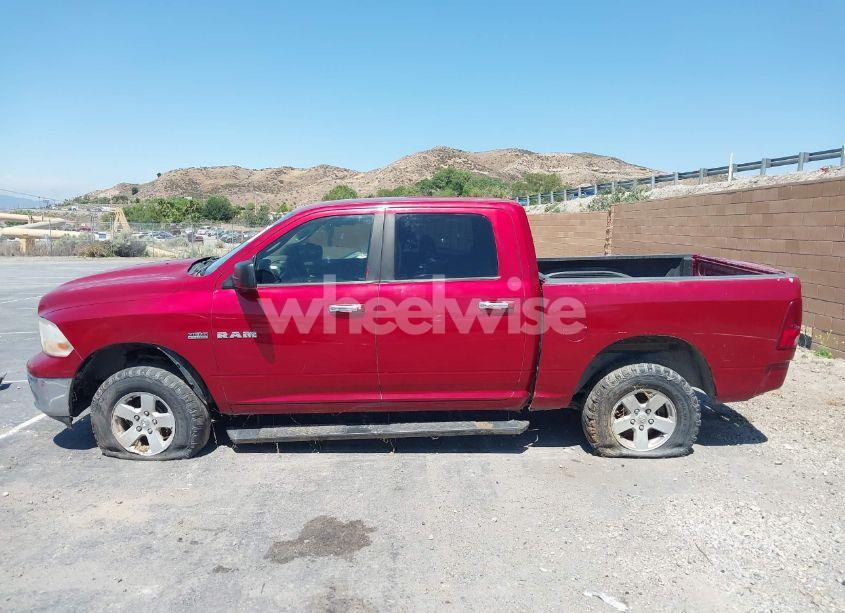 Photo 14 of 2010 Dodge Ram 1500 SLT/SPORT/TRX (VIN 1D7RB1CT8AS181177)